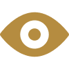 vision-img